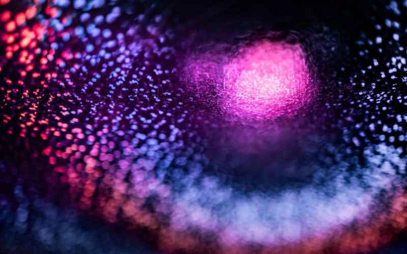 ポルカドット（DOT）の価格は、1.76ドル付近で高取引高が強いサポートを示していることから下落した。